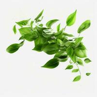 Flying realistic green leaves photo