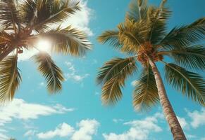 Ai Generated Blue sky and palm trees view from below, vintage style, tropical beach and summer background, travel concept realistic image photo