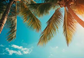 ai generado azul cielo y palma arboles ver desde abajo, Clásico estilo, tropical playa y verano fondo, viaje concepto realista imagen foto