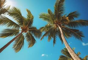 Ai Generated Blue sky and palm trees view from below, vintage style, tropical beach and summer background, travel concept realistic image photo