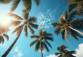 Ai Generated Blue sky and palm trees view from below, vintage style, tropical beach and summer background, travel concept realistic image photo