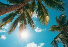 Ai Generated Blue sky and palm trees view from below, vintage style, tropical beach and summer background, travel concept realistic image photo