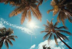 ai generado azul cielo y palma arboles ver desde abajo, Clásico estilo, tropical playa y verano fondo, viaje concepto realista imagen foto