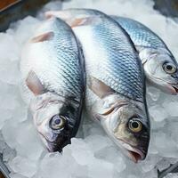 de cerca Tres pescado en lleno de hielo caja a mercado - ai generado foto