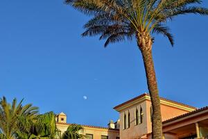 city of Corralejo on the Spanish Canary Island Fuerteventura on a warm holiday day photo