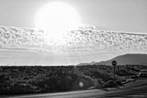 wide asphalt road on the Spanish Canary Island Fuerteventura with palm trees photo