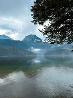 Lake with the reflection of needle leaf trees and mountains photo