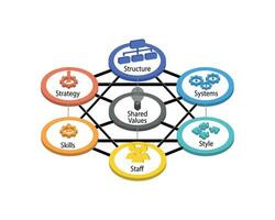7S Model refers to a tool that analyzes a company organizational design to depict how effectiveness can be achieved of seven key elements such as skill, staff, shared values, systems, style, strategy vector