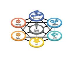 7S Model refers to a tool that analyzes a company organizational design to depict how effectiveness can be achieved of seven key elements such as skill, staff, shared values, systems, style, strategy vector