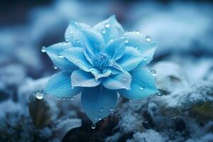 Stunning Frozen blue flower. Generate Ai photo