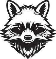Vintage Black Raccoon Insignia Black Raccoon Vector Symbol