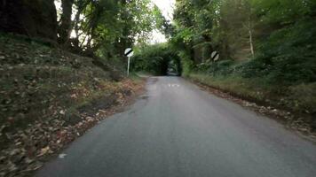 höst kör genom lugn landsbygden vägar video