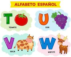 spanish alphabet. vector illustration. written in spanish tomato, grape, cow, deer
