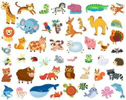 Big set of african, forest, domestic and sea animals and insects. vector image