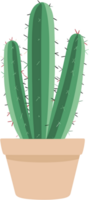 Cactus in pot png