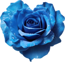 Blue rose petals arranged in the shape of a heart. AI-Generated. png