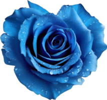 Blue rose petals arranged in the shape of a heart. AI-Generated. png