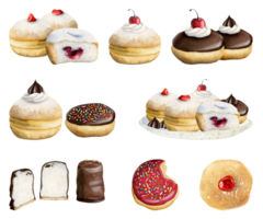 Chanoeka desserts en donuts reeks met aardbei en chocola. heerlijk hand- getrokken sufganiyot illustraties bundel van donuts met verschillend toppings voor bakkerij, menu's png