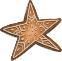 Star gingerbread cookies for Christmas. holiday biscuit or cookie hand-drawing color look yummy. png