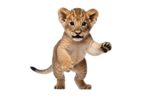 Lion lionceau posant. ai génératif png