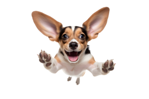 AI Generative funny cool dog with big ears in flight. png