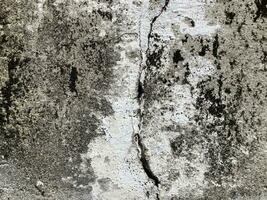 Old concrete wall texture. photo