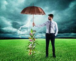 Businessman covers a money tree with an umbrella photo