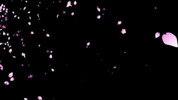 sakura flor partícula video