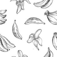 Hand Drawn Banana Seamless Pattern vector