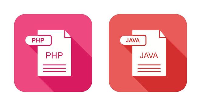PHP and Java Icon vector