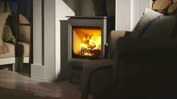 a wood burning stove in a living room video