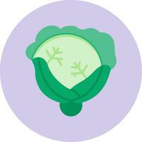 Cabbage Vector Icon