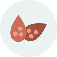 Lentils Vector Icon