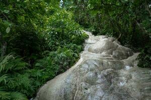 Bua Tong or Buatong Limestone waterfall in the jungle in Chiang Mai, Thailand. photo