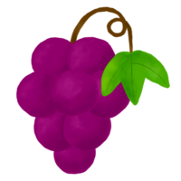 Bunch of purple grapes on transparent background png