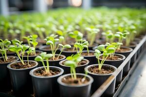 Trays with plant seedlings modern in vertical farm. AI Generative photo