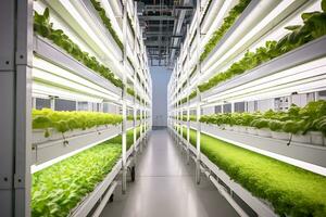 Hydroponics garden cultivated in vertical indoor. AI Generative photo