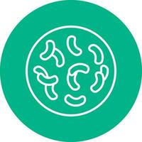 Lactobacillus Vector Icon