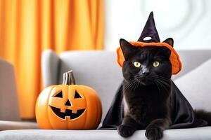 A beautiful black cat in a black cape poses on a white sofa next to an orange pumpkin. AI Generative photo