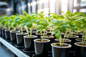 Trays with plant seedlings modern in vertical farm. AI Generative photo