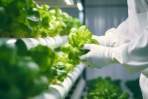 Gloved hands of worker of contemporary vertical farm over green lettuce seedlings growing on upper shelf during quality check-up. AI Generative photo