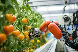 ai generativo. inteligente robótico en agricultura futurista concepto, robot agricultores debe ser programado a trabajo a recoger vegetal y Fruta por utilizando profundo aprendizaje y objeto reconocimiento tecnología. foto