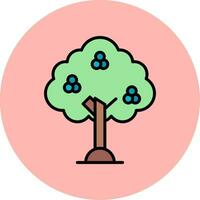 Juniper Vector Icon