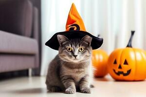 un hermosa mullido gatito en un de bruja sombrero se sienta en el piso de el habitación en contra el antecedentes de Víspera de Todos los Santos calabazas ai generativo foto