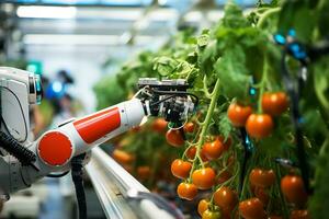 AI Generative. smart robotic in agriculture futuristic concept, robot farmers must be programmed to work to collect vegetable and fruit by using deep learning and object recognition technology. photo