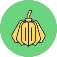 Acorn Squash Vector Icon