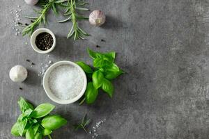 Selection of spices herbs and greens. Ingredients for cooking, food background on dark gray background. Top view. Copy space. photo