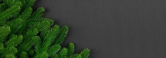Top view of Banner colorful festive background made of fir tree branch. Christmas holiday concept with copy space photo