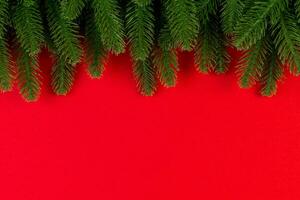 Top view of green fir tree branches on colorful background. New year holiday concept with empty space for your design photo