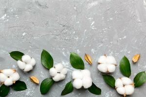 Autumn Floral Flat lay background composition. Dried white fluffy cotton flower branchwith green leaf top view on colored table with copy space photo